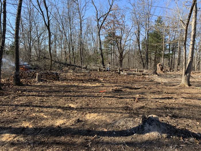 Clearing the homesite on 32 acres of Ozark woodland in Ava Missouri 2020 — logs stacked, fire burning, stumps throughout