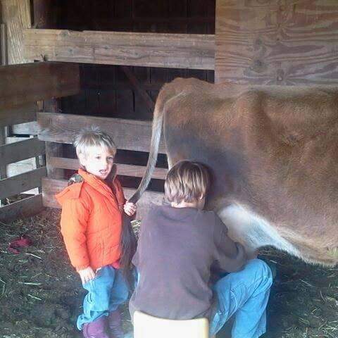 Miah and Judah Leathers milking the Jersey cow in the barn at C4 Farms El Dorado Springs Missouri